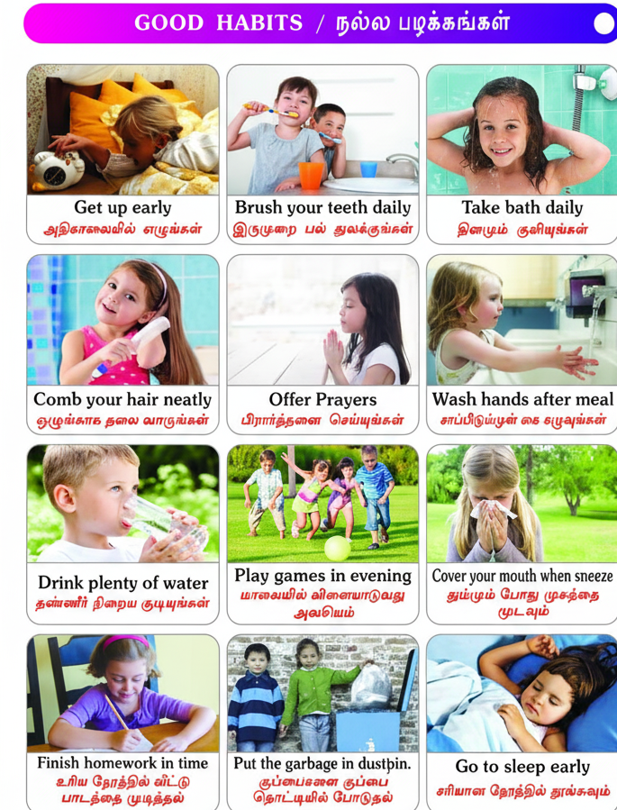 all in one (english–tamil)